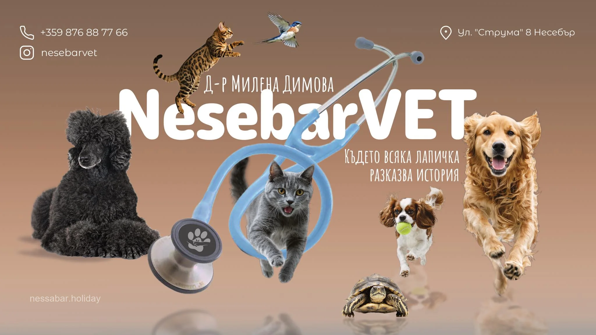 NesebarVET Несебър | Ветеринарна клиника и ветеринар